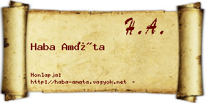 Haba Amáta névjegykártya